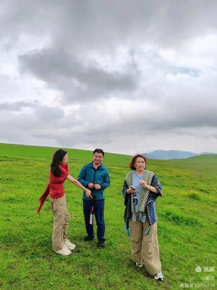 草原上的欢笑，一场关于爱与自由的梦境之旅